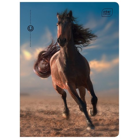 Zeszyt WILD HORSES A5 32k. 70g krata Interdruk