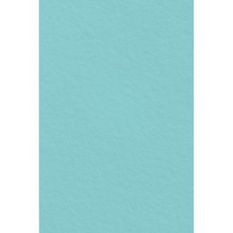 Filc kolor: mix 5 ark. [mm:] 200x297 Interdruk (IFILCPAS)