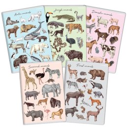 Zeszyt PP A5 16k. krata Top 2000 (400174504)