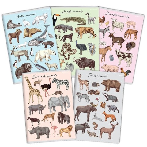 Zeszyt PP A5 16k. krata Top 2000 (400174504)