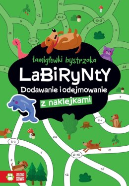 Książeczka edukacyjna Łamigłówki bystrzaka Labirynty. Dodawanie i odejmowanie Zielona Sowa