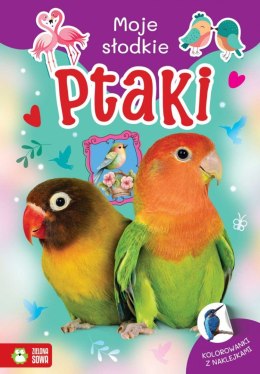 Książeczka edukacyjna Moje słodkie zwierzaki. Ptaki Zielona Sowa