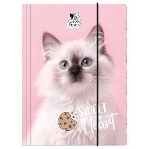 Teczka kartonowa na gumkę Cleo i Frank A4 mix Derform (TGA4CF45)