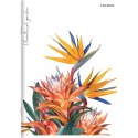 Zeszyt FLOWERS A5 60k. 70g linia Top 2000 (400169420)