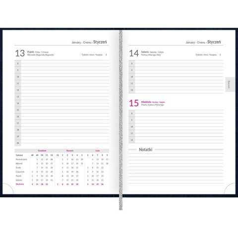 Kalendarz książkowy (terminarz) 5904017437451 Basic 2025 A5 Top 2000 (400189203)