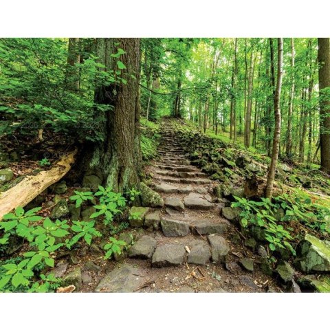 Kalendarz ścienny 13-planszowe 320mm x 470mm Lucrum (RW04)