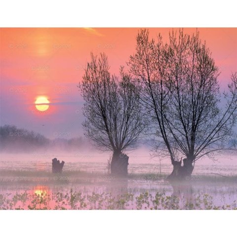 Kalendarz ścienny PEJZAŻE POLSKIE 13-planszowe 320mm x 470mm Lucrum (RW01)