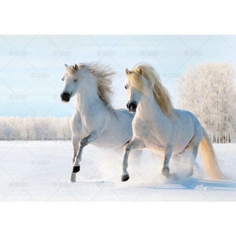 Kalendarz ścienny konie w plenerze rodzinny 280mm x 200mm Lucrum (WL10)