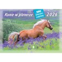 Kalendarz ścienny konie w plenerze rodzinny 280mm x 200mm Lucrum (WL10)