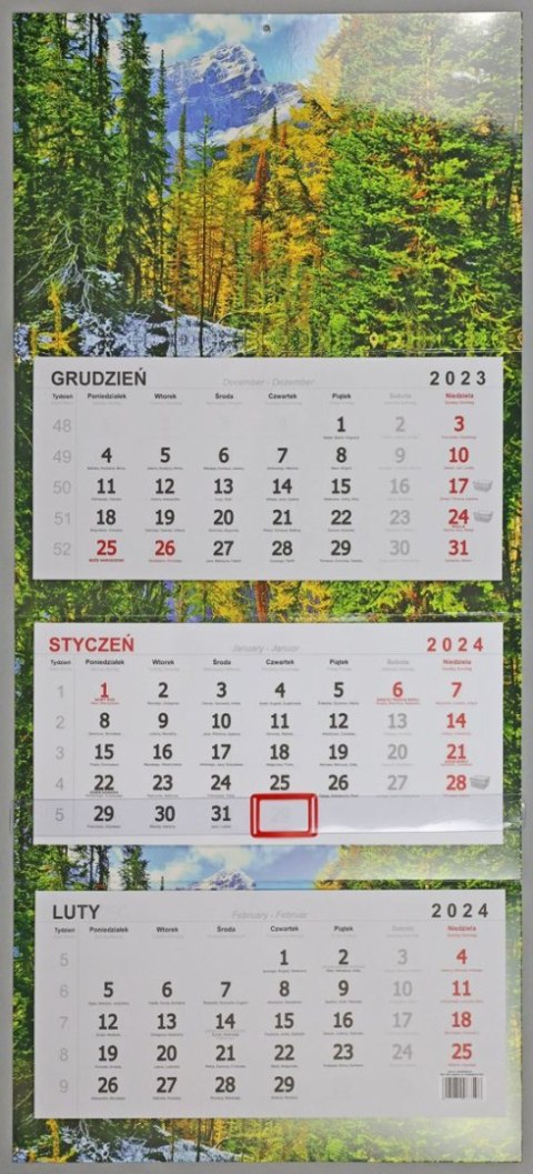 Kalendarz ścienny ścienne Darrieus