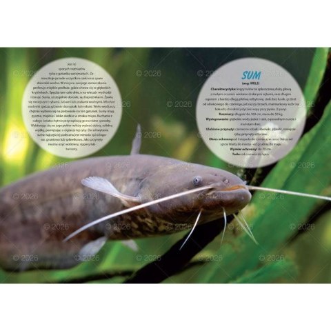 Kalendarz ścienny wędkarski rodzinny 280mm x 200mm Lucrum (WL14)