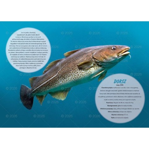 Kalendarz ścienny wędkarski rodzinny 280mm x 200mm Lucrum (WL14)