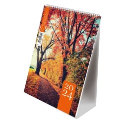 Kalendarz książkowy (terminarz) A5 Michalczyk i Prokop (T-101-3 01-12)