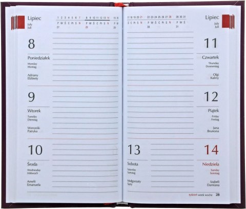Kalendarz książkowy (terminarz) Koliber 75mm x 130mm Michalczyk i Prokop (320F-01)