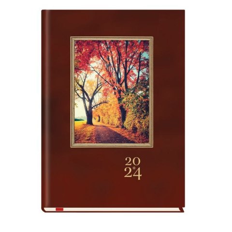 Kalendarz książkowy (terminarz) terminarz A5 Michalczyk i Prokop (T-209F-03)