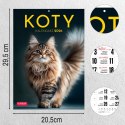 Kalendarz ścienny A4 KOTY A4 Press (5904830713381)
