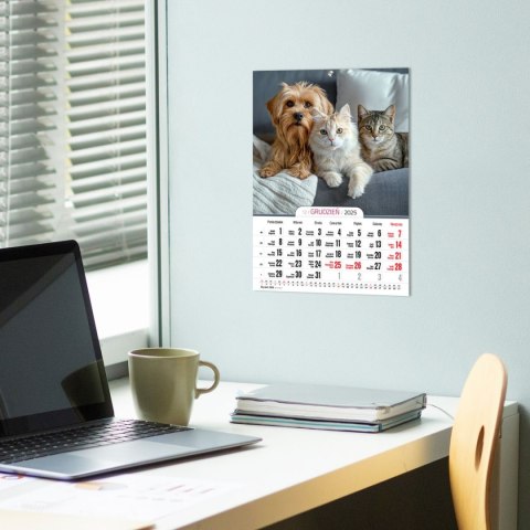 Kalendarz ścienny A4 MILUSIŃSCY A4 Press (5904830713473)