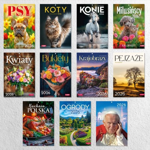 Kalendarz ścienny A4 PEJZAŻE A4 Press (5904830713459)