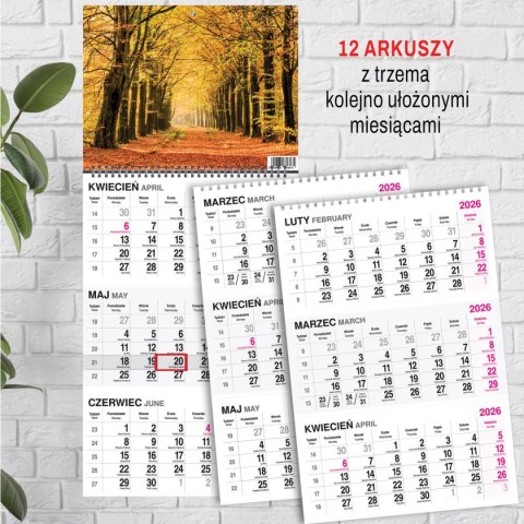 Kalendarz ścienny LAS A4 Press