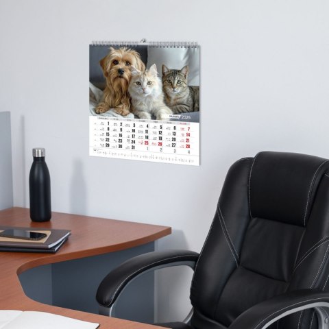 Kalendarz ścienny Przyjaciele 33x33 330mm x 330mm Press