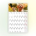 Kalendarz ścienny na lodówkę z magnesem 137mm x 210mm Press (MILUSIŃSCY)