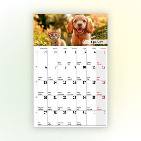 Kalendarz ścienny na lodówkę z magnesem 137mm x 210mm Press (MILUSIŃSCY)