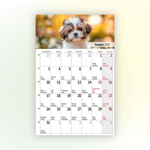 Kalendarz ścienny na lodówkę z magnesem 137mm x 210mm Press (MILUSIŃSCY)