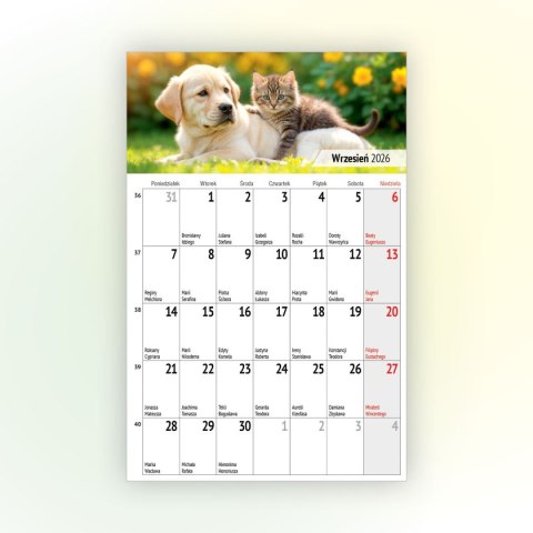 Kalendarz ścienny na lodówkę z magnesem 137mm x 210mm Press (MILUSIŃSCY)