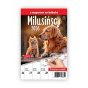 Kalendarz ścienny na lodówkę z magnesem 137mm x 210mm Press (MILUSIŃSCY)