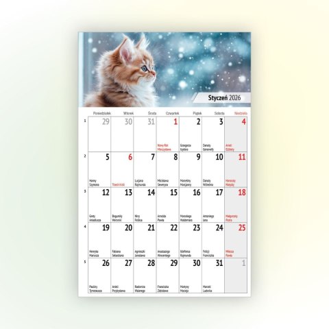 Kalendarz ścienny na lodówkę z magnesem 137mm x 210mm Press (MILUSIŃSCY)