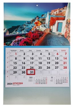 Kalendarz ścienny terminarz ścienny 310mm x 482mm Michalczyk i Prokop (T-107S-1)
