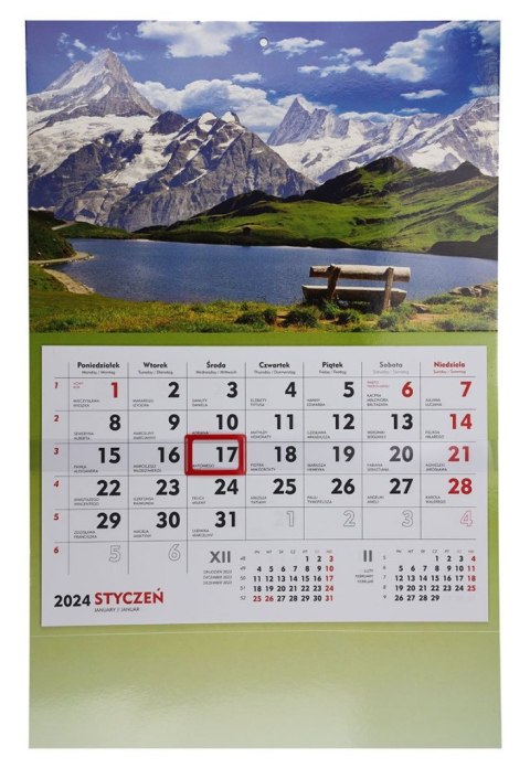 Kalendarz ścienny terminarz ścienny 310mm x 482mm Michalczyk i Prokop (T-107S-4)