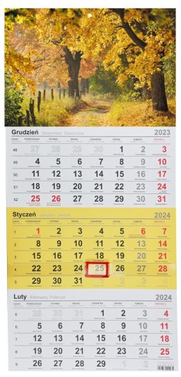 Kalendarz ścienny trójdzielny 288mm x 622mm Michalczyk i Prokop (T-106T-11)