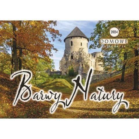 Kalendarz ścienny wieloplanszowy 200mm x 285mm Michalczyk i Prokop (TW-10-5)