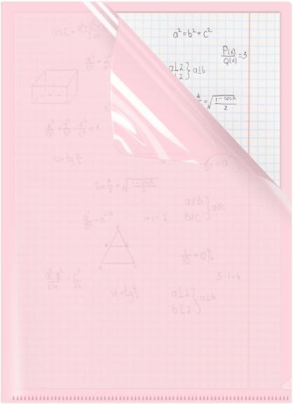 Ofertówka A4 kolor: różowa typu L Biurfol (OFP-A4-01)