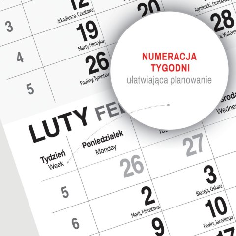 Kalendarz ścienny KOT 310mm x 790mm Press