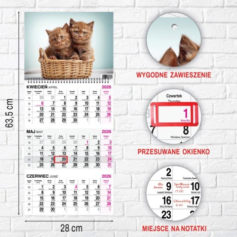 Kalendarz ścienny KOT 310mm x 790mm Press