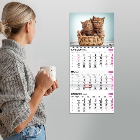 Kalendarz ścienny KOT 310mm x 790mm Press