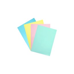 Ofertówka A4 kolor: mix typu L Biurfol (OFP-A4)