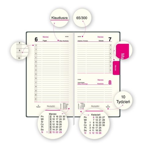 Organizer ORGANIZER 3/4 B5 (mix) Press (dzienny)