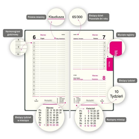 Organizer ORGANIZER 3/4 B5 (mix) Press (dzienny)