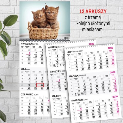 Kalendarz ścienny KOT 310mm x 790mm Press