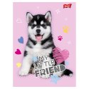 Zeszyt My Little Friend, 1 A5 16k. 70g linia Unipap