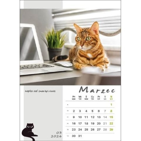 Kalendarz ścienny KOT W BIURZE WIELOPLANSZOWY A3 Jotan (WP136)