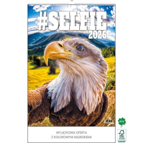 Kalendarz ścienny SELFIE 13-KARTKOWY A3+ Jotan (WP135)