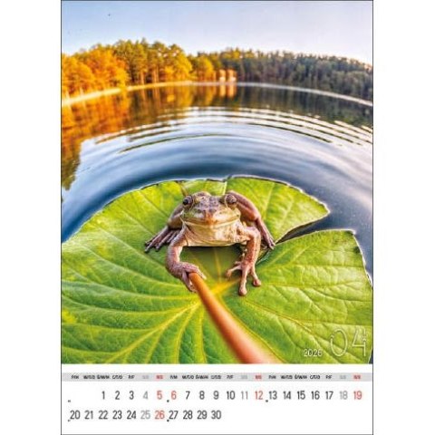 Kalendarz ścienny SELFIE 13-KARTKOWY A3+ Jotan (WP135)