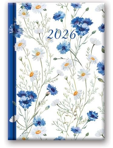 Kalendarz książkowy (terminarz) WYCINANKA B6 Lucrum (41DS)