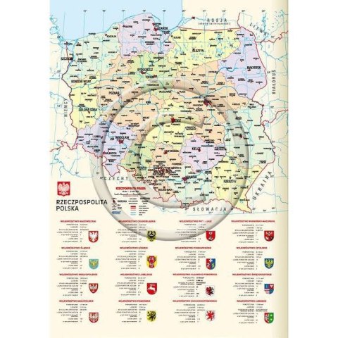 Kalendarz książkowy (terminarz) terminarz kieszonkowy B6 110mm x 165mm Lucrum (41D)