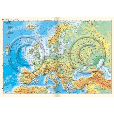 Kalendarz książkowy (terminarz) złoty A6 Lucrum (TR złoty)