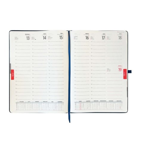 Kalendarz książkowy (terminarz) terminarz A4 Avanti (5902641332678)